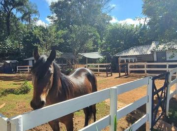Casa de 5 quartos, Esmeraldas · Mini fazendinha alto padrão à venda no Condomínio Nossa Fazenda em Esmeraldas-MG
