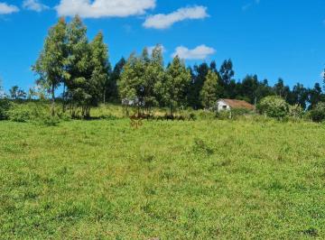 Rural · 500ha · 3 Quartos · 10 Vagas · FAZENDA À VENDA – 252 HECTARES – PECUÁRIA, EUCALIPTO E POTENCIAL IMOBILIÁRIO/RJ