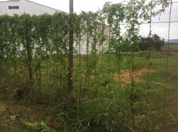 Terreno · 250m² · lindo terreno Mombaça, Pindamonhangaba - SP