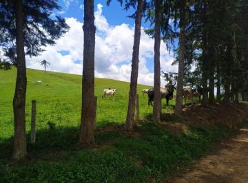 Rural · 105m² · FAZENDA COMPLETA E ESTRUTURADA PARA PECUÁRIA – 105,5 ALQUEIRES