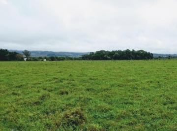Rural · 20000m² · Chácara à venda 20000M², Cruz Pequena, Pindamonhangaba - SP