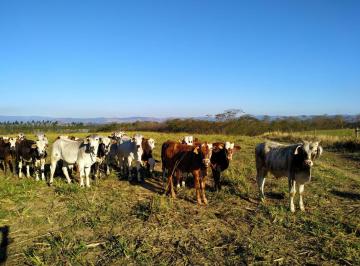 Rural · 4840000m² · 3 Quartos · Chácara à venda 3 Quartos, 1 Suite, 4840000M², Zona Rural, Cachoeira Paulista - SP