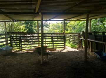 Rural · 150m² · 2 Quartos · 2 Vagas · Chácara à venda 2 Quartos, 2 Vagas, 300000M², Água Preta, Pindamonhangaba - SP