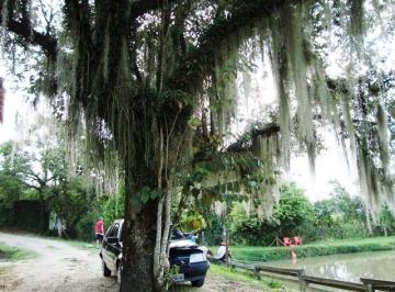 Rural · 55693m² · Chácara à venda 55693.88M², Bom Sucesso, Pindamonhangaba - SP