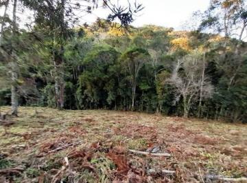Rural · 170000m² · Chácara à venda 170000M², Paraibuna, Cunha - SP