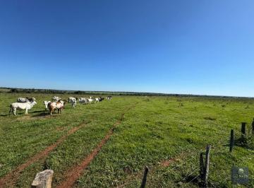 Rural · 600000m² · Fazenda com Alto Potencial de Irrigacao e Valo...