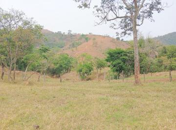 Rural · 1355200000m² · 1 Quarto · Fazenda proxima a Dutra paraa venda, , Roseira Velha, SP
