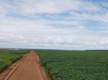 Rural · 49000000m² · FAZENDA NA REGIÃO DE NOVA MARINGÁ-MT!
