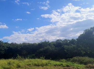 Terreno · 8500m² · Terreno à venda 8500M², Jardim Mourisco, Taubaté - SP