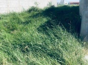 Terreno · 150m² · Terreno à venda 150M², Vila Areao, Taubaté - SP