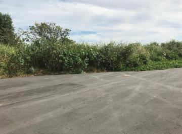 Terreno · 127m² · Terreno à venda 127M², Conjunto Habitacional Terra dos Ipês W, Pindamonhangaba - SP