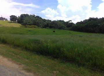 Terreno · 296m² · Terreno à venda 296M², Parque São Domingos, Pindamonhangaba - SP