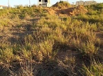 Terreno · 150m² · Terreno à venda 150M², Areao, Taubaté - SP