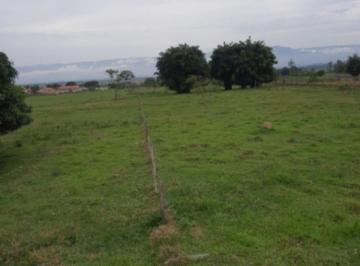 Terreno · 12000m² · Terreno à venda 12000M², Centro, Roseira - SP