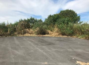 Terreno · 125m² · Terreno à venda 125M², Conjunto Habitacional Terra dos Ipês W, Pindamonhangaba - SP