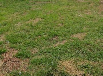 Terreno · 421m² · Terreno à venda, Centro, Pindamonhangaba, SP