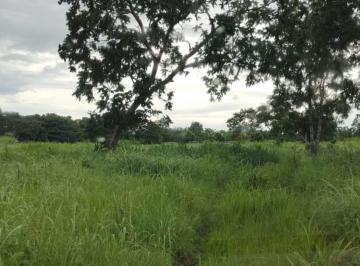 Rural , Aguaçu · Sítio a Venda próximo a Vila Aguaçu. Distrito de Cuiabá. Mato Grosso