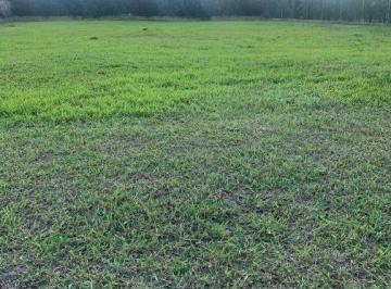 252762d5277cf19511b1325dbd01276eb7da9179 · Terreno, Condomínio Primavera - Salto SP