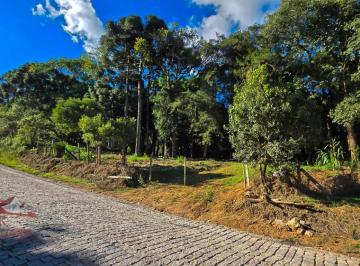 Rural , São José dos Pinhais · Chácara a Venda sem benfeitorias