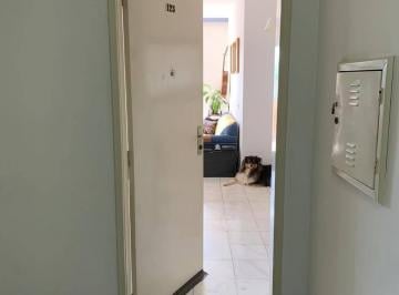 Apartamento · 83m² · 3 Quartos · 1 Vaga · Apartamento Condomínio Edifício Maggiore - Barueri - SP - Vila Boa Vista