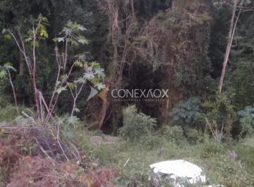 0 · terreno à venda em Vista Alegre
