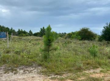 c2fe0ca30417a7018a14fd0da1ad4d9c.jpg · Terreno Praia Tupinambá Terreno