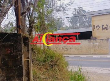 Terreno · 26000m² · Área na Avenida Martins Junior