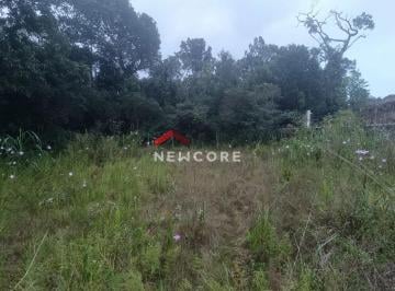 Terreno · 400m² · Lote em condomínio em  Avenida Abílio Francisco Martins de Castro - Boracéia - São Sebastião/SP