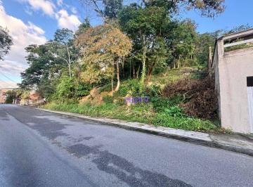 f96e90cedca80b6cfc01036f7aa4e7128dd69f0b · Terreno à venda, 750 m² por R$ 285.000,00 - Serra Grande - Niterói/RJ
