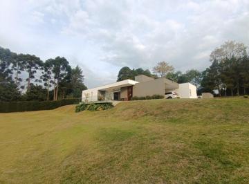 20240909140353909.jpg · Casa Alto Padrão para Venda em Quatro Barras, Jardim menino Deus, 4 dormitórios, 3 suítes, 3 banheir