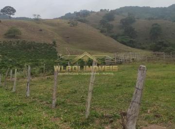 202506131346284667.jpeg · Sítio para Venda em Ouro Fino, rural