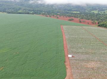 Rural , Anápolis · Linda fazenda próximo de Anápolis