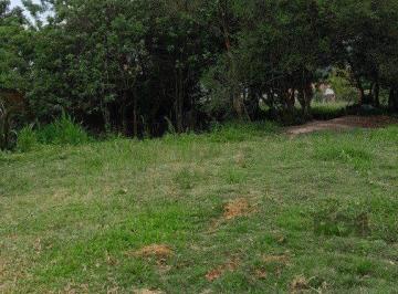 Terreno · 1000m² · Terreno 1.000m² no bairro Lageado em Porto Alegre