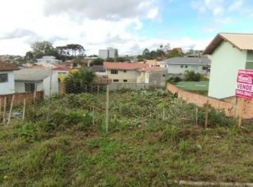 Foto 01 · Terreno, Campo do Gado, Rio Negro, PR