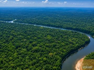 Foto 06 · Fazenda Paraná para Credito Carbono com 522 hectares na Amazonas R$90.000.000,00 Mato Grosso- am