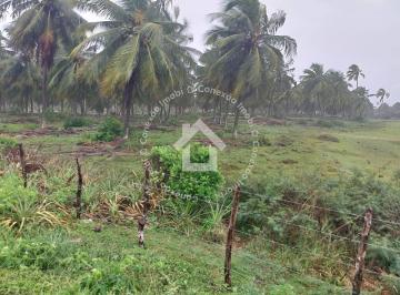 Vende-se Terreno na Praia da Caueira · Vende-se Terreno na Praia da Caueira