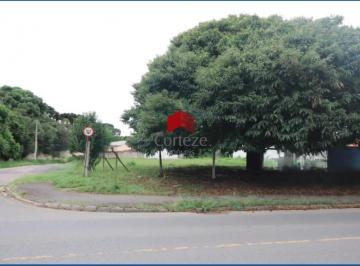 Terreno · 1011m² · Terreno com 1.010,63m² , à venda, no bairro Rio Pequeno em São José dos Pinhais