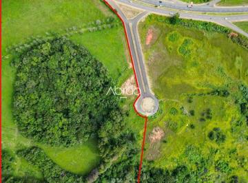 Terreno · 81000m² · Terreno com 81.000 m² à Venda na Avenida Visconde de Taunay – Santa Paula, Ponta Grossa | Ref. 521