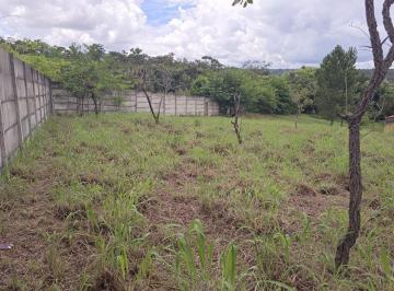 WhatsApp Image 2025-02-14 at 16 · LOTE BELA VISTA