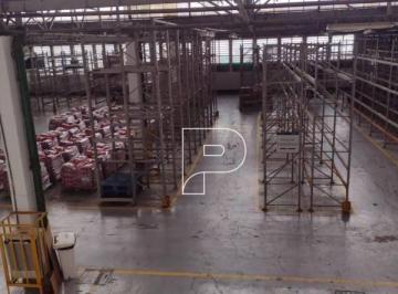 4a954f4bdb60cbcc68aa22566556ba8ad32e09c2 · Galpão Logístico/Industrial – Marginal Pinheiros – 11.200 m² ABL