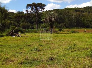 Foto 01 · Área em Caraá