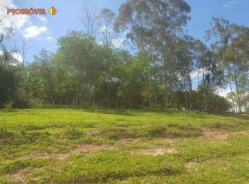 d65705816925b972f7fc624fd20498b1473e9656 · Sítio, 6,2 alqueires - Porangaba SP