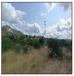 Photo_0 · 
                Oportunidade Única em CARUARU - PE | Tipo: Terreno | Negociação: Venda Direta Onlin