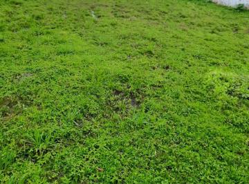 Terreno , São Sebastião · Terreno a venda em Boiçucanga