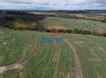 fazenda-a-venda-40-alqueires-por-r-12-000-000-bom-retiro-porto-feliz-sp1741036121574bneik.jpg · Fazenda à venda, 40 alqueires por R$ 12.720.000 - Bom Retiro - Porto Feliz/SP