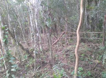 202504251006411436.jpg · Terreno para Venda em Itanhaém, Gaivotas