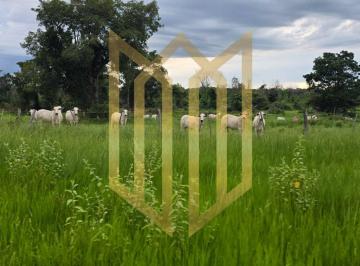 Linda Fazenda a venda na baixada Cuiabana · Linda Fazenda a venda na baixada Cuiabana