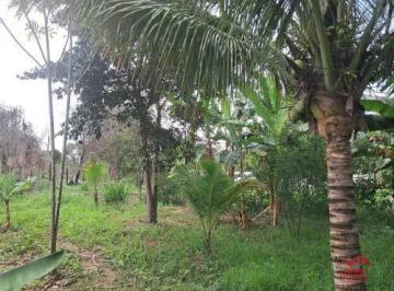 Rural · 3500ha · 1 Quarto · 3 Vagas · Mini Sítio em Manilha - Itaboraí | 3.500m², Frutíferas, Casa e Ótima Localização
