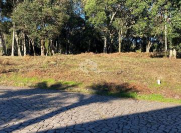 699846_i6i3z3y2oR8mfP_69984668517323d1da6.jpg · Terrenos Planos com ótima localização e orientação solar