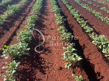 Foto 01 · Fazenda à venda em Franca-SP: 1.016,40 alqueires na Área Rural, oportunidade única!